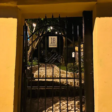Guest house Curcanilor 18